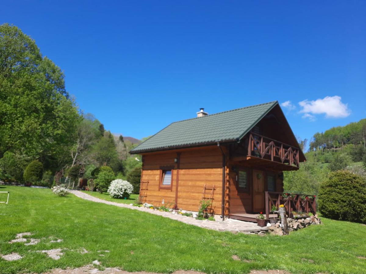 Domki Pod Lipa. Liszna Exteriér fotografie