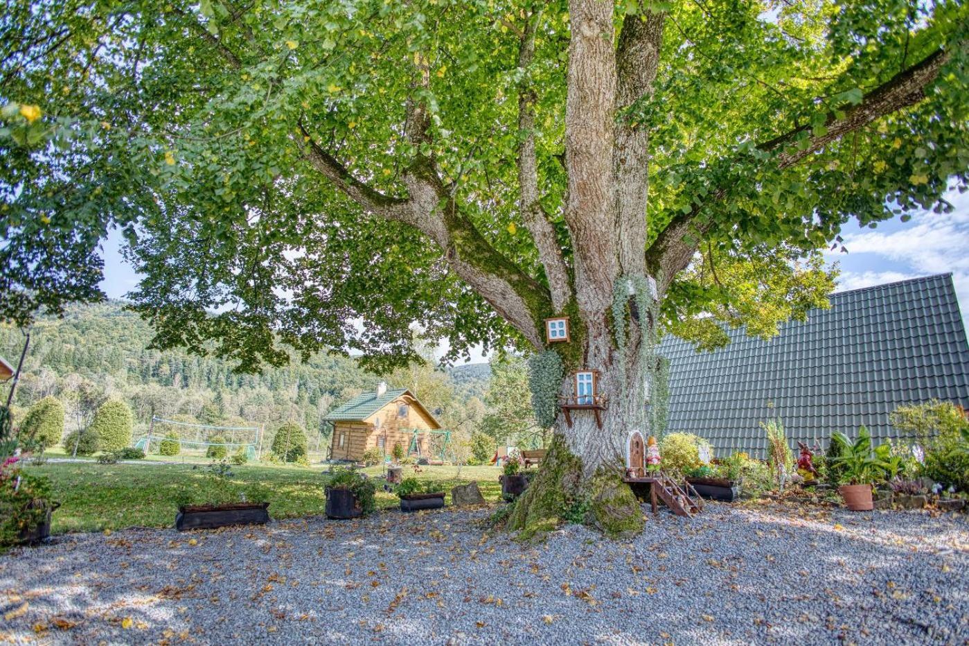 Domki Pod Lipa. Liszna Exteriér fotografie